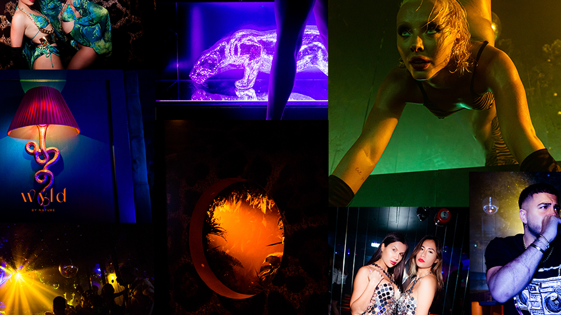 Wyld Club London Provides Tables Booking In London