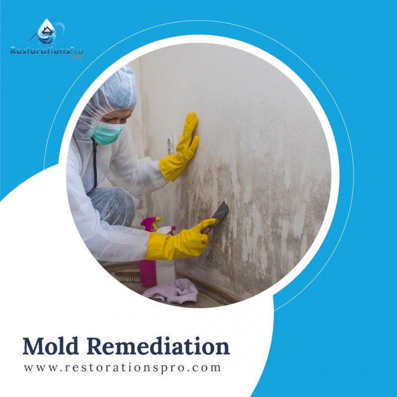 4 Ways to treat Molds- Expert Advice: restorationspro — LiveJournal