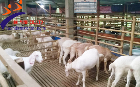 Đèn diệt côn trùng dành cho trang trại chăn nuôi