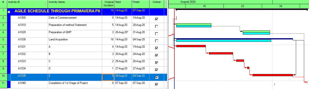 Primavera P6 Agile Scheduling | P6 Agile Scheduling | Leopard Project Controls