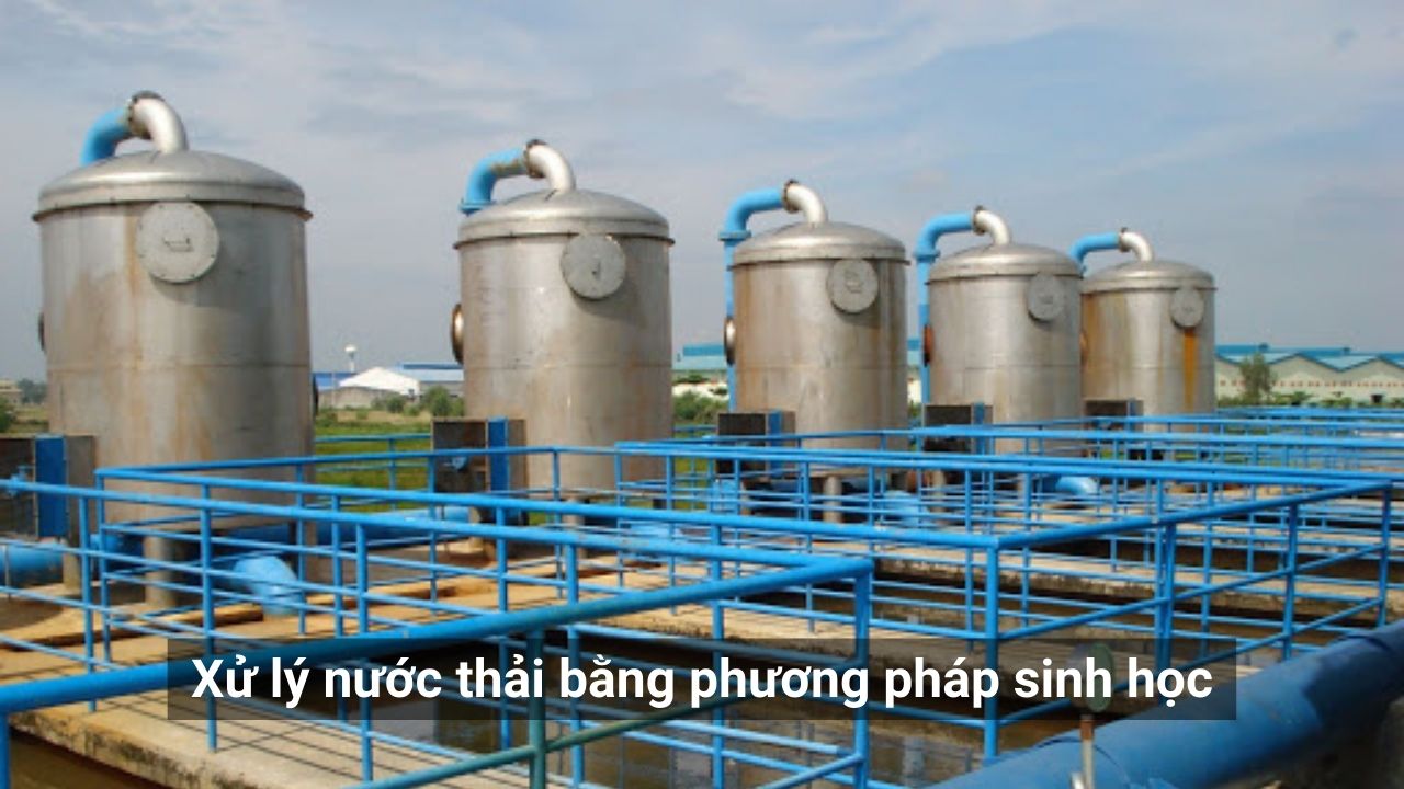 Tại sao phương pháp sinh học được ưu tiên trong xử lý nước thải ?