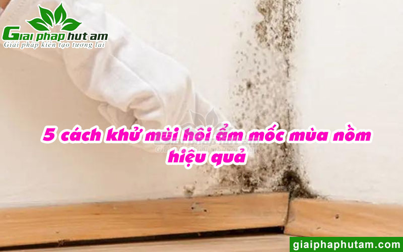 5 Cách Khử Mùi Hôi Ẩm Mốc Mùa Nồm Cực Hiệu Quả