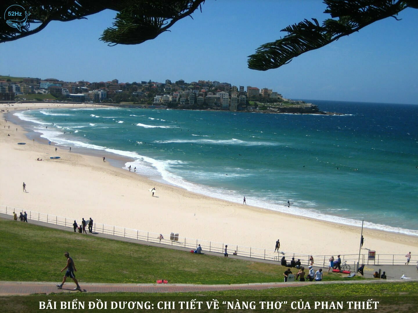 Đồi Dương Phan Thiết, bãi biển đông nhất Bình Thuận