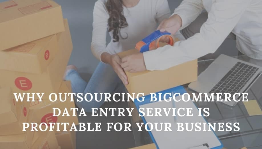 Why Bigcommerce Data Entry Service Is Profitable For Your Business