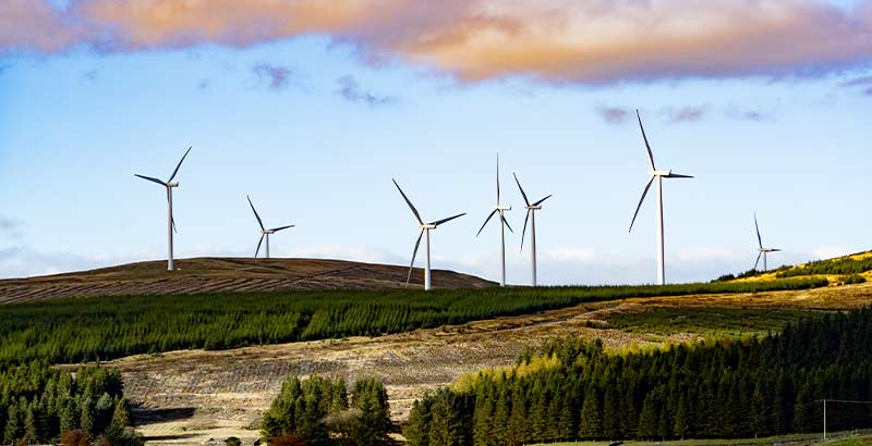 Climate – Talent 20 with The MJ – Starfish Search