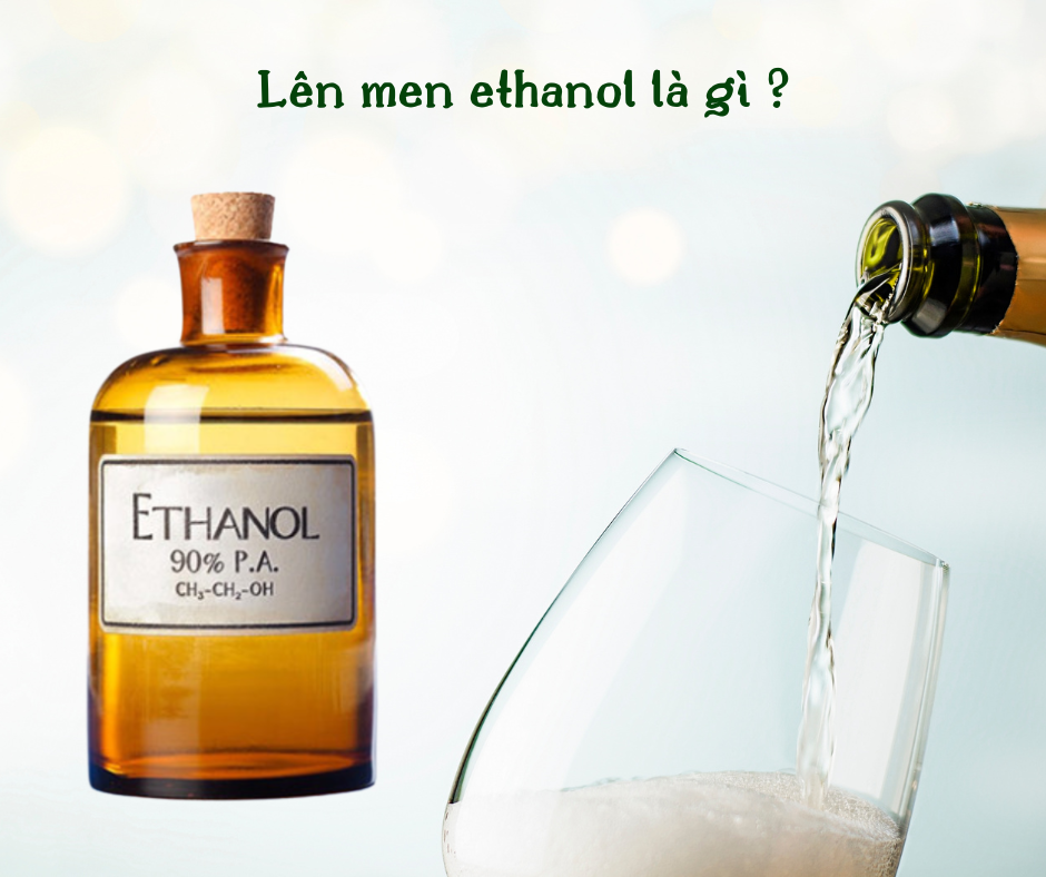 Thế nào là lên men ethanol ?