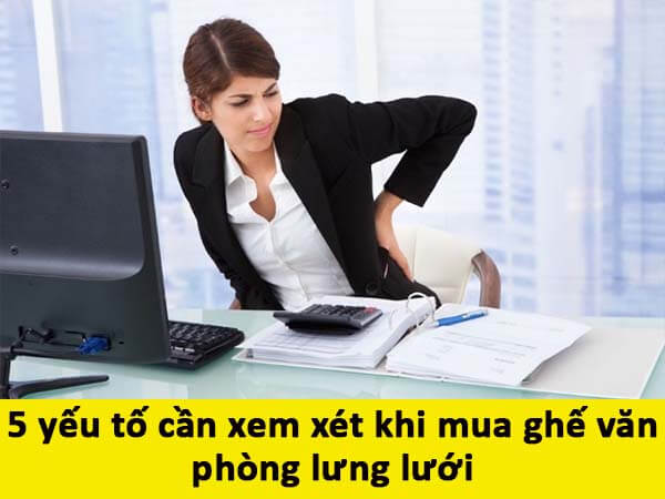5 yếu tố cần xem xét khi mua ghế văn phòng lưng lưới - Chairking