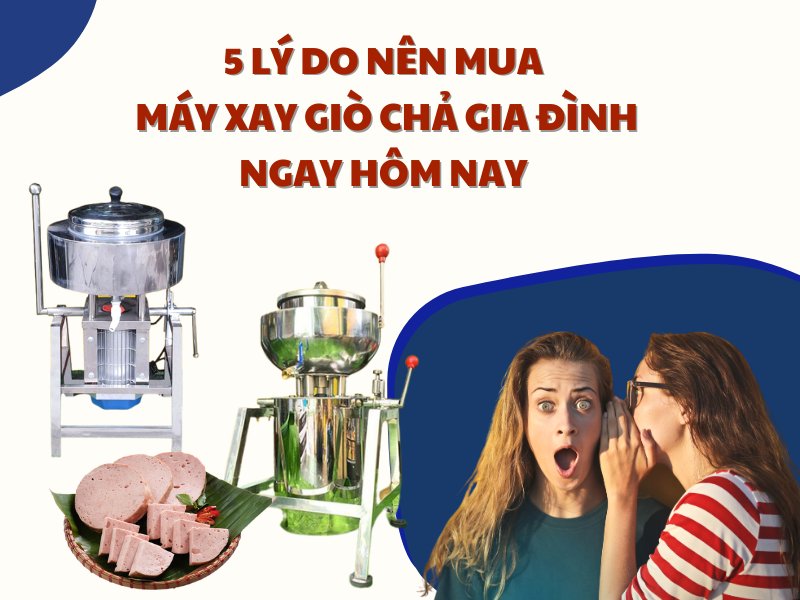 5 Lý Do Nên Mua Máy Xay Giò Chả Gia Đình Ngay Hôm Nay