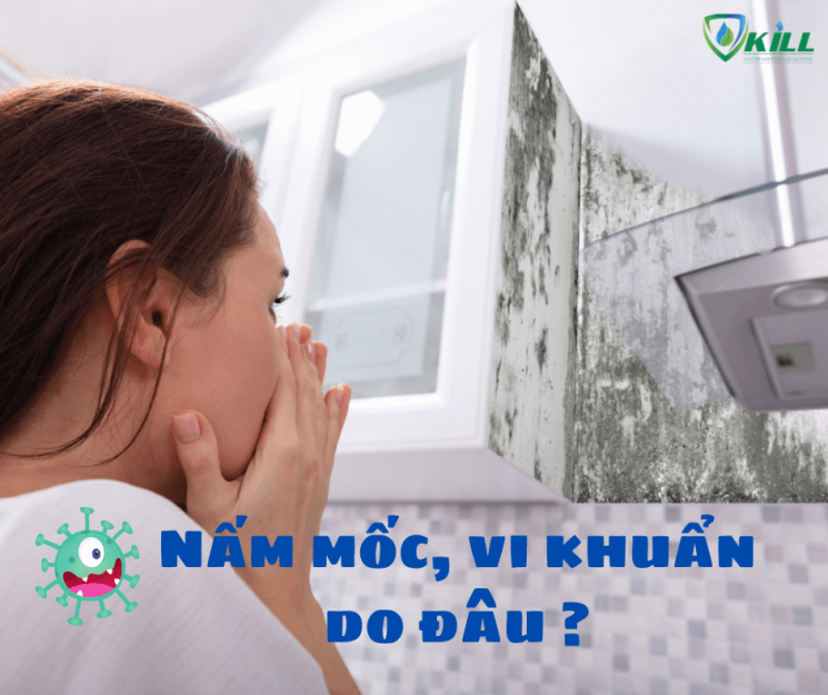 Nguyên Nhân Nhà Bị Ẩm Mốc | Cách xử lý
