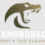 Diamon back Carpet Tile Cleaning