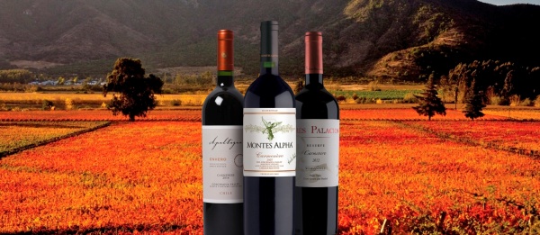 4 lý do chính đáng để bạn nên uống rượu vang Chile 