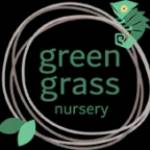 greengrassnursery