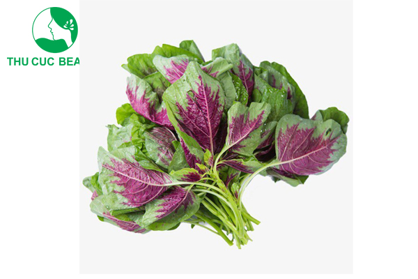 Cắt mí có ăn được rau dền không? - Thẩm mỹ Thu Cúc