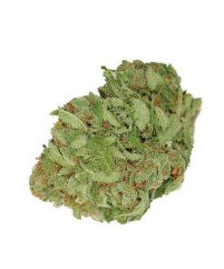 Buy Weed Online USA  Shipping Discreet | Marijuana For Sale Online