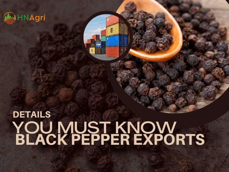 Black Pepper Exporters And Some Critical Details You Must Know 