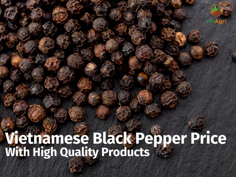 Vietnam Black Pepper Price With High Quality Products