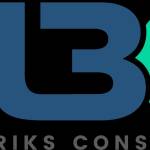 Metabriks Consulting