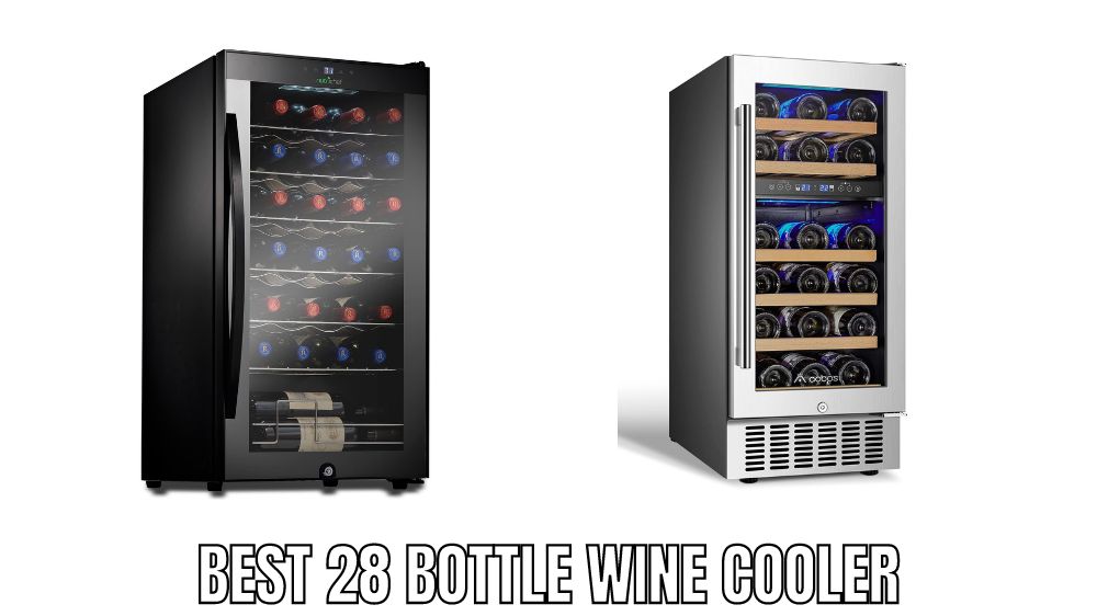 Top 10 Best 28 Bottle Wine Cooler Reviews in 2023