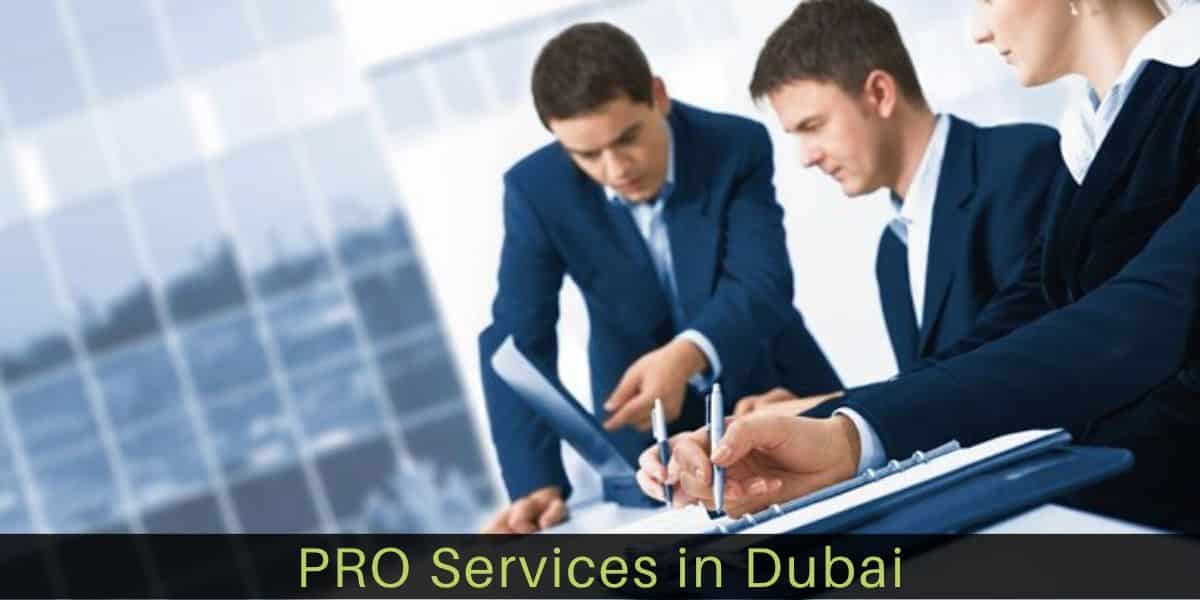 PRO Services Business in Dubai-All you Need to Know in (2022)