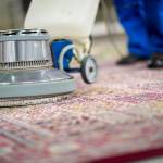 Rug Cleaning Inner West