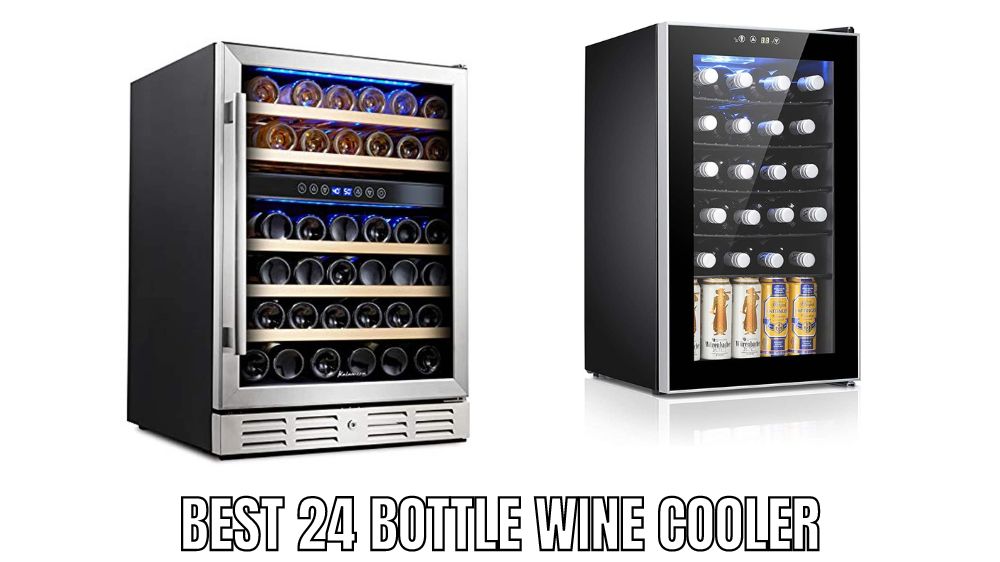 Top 10 Best 24 Bottle Wine Cooler Reviews in 2023 - Alfredo's Pizza Online