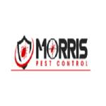 Morris Cockroach Control Brisbane