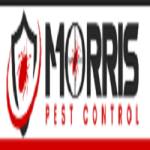Morris Bee Removal Perth