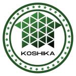 Koshika LLC