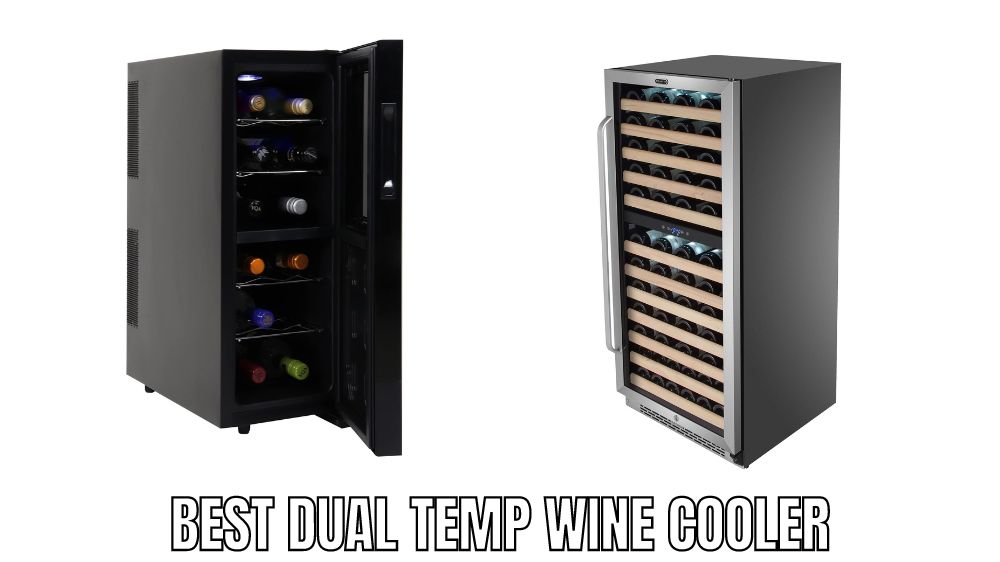Top 10 Best Dual Temp Wine Cooler Reviews in 2023