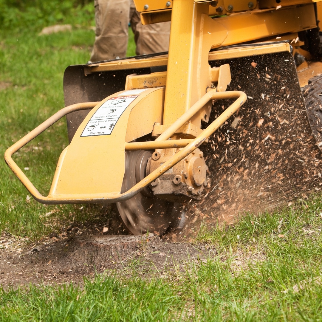 Stump Grinding Sydney - Safe and Efficient Stump Removal