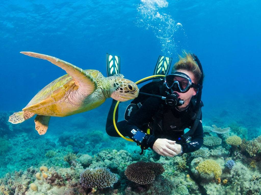 Phuket Dive Center - Your Guide To Different Levels Of Diving Courses