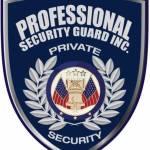 Professional Security Guard