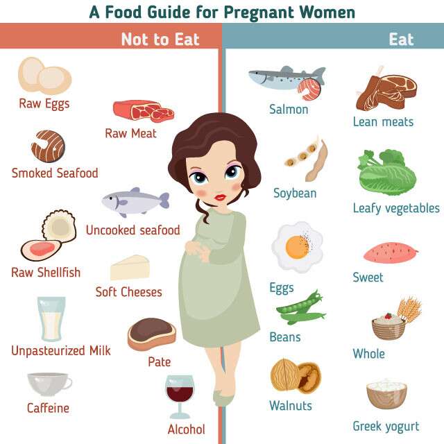 Pregnancy Food Chart Month by Month