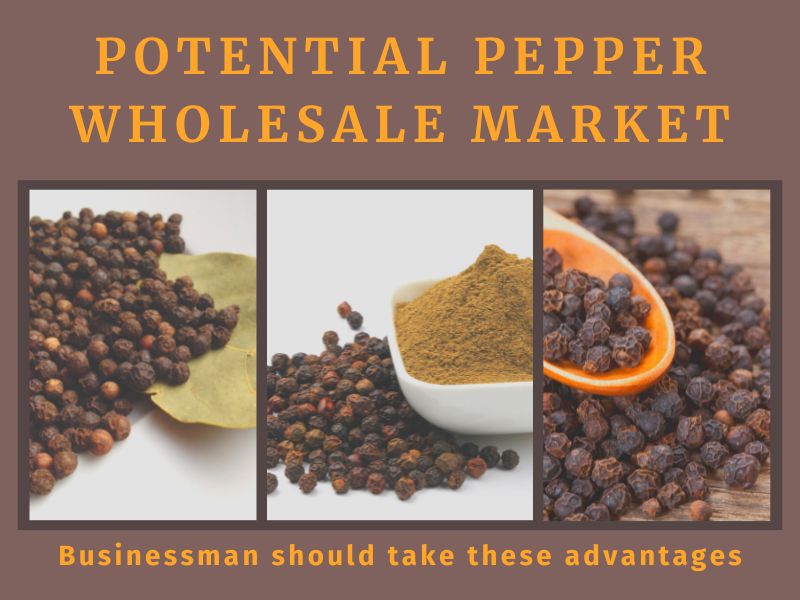 Potential Pepper Wholesale Market You Should Take Advantage Of