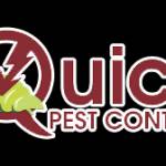 how to get rid of ants