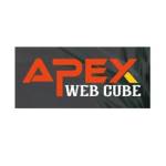 Apex Web Cube