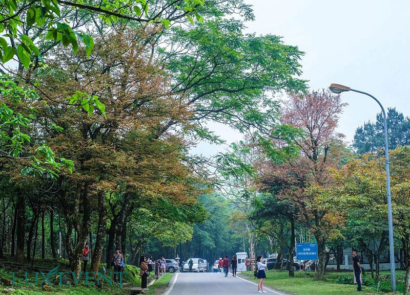 Những địa điểm tổ chức team building tại Ba Vì