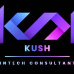 KUSH Fintech Consultant
