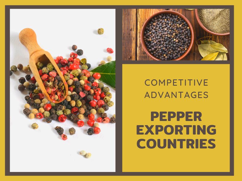 Pepper Exporting Countries And Their Competitive Advantages