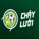 Cháy Lưới