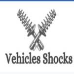 Vehicle shocks