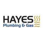 Hayes Plumbing