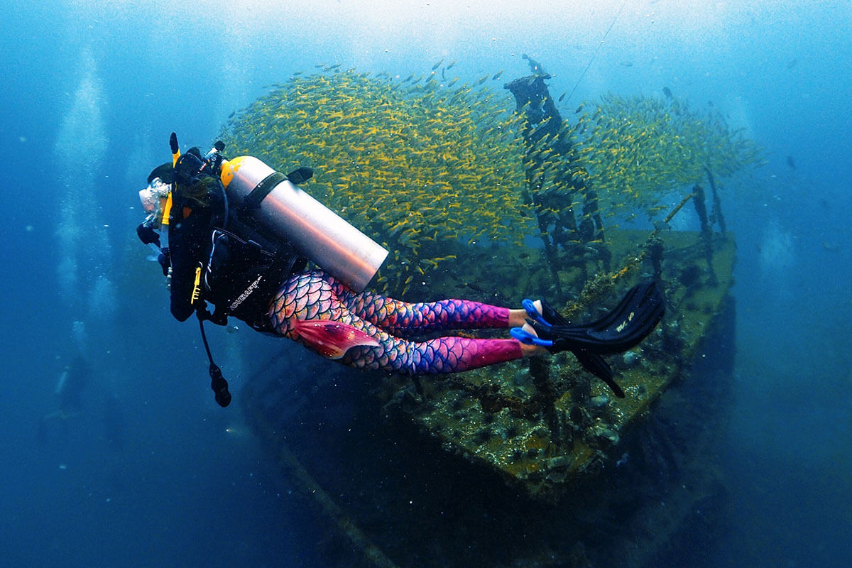 Phi Phi Island Diving Day Trip | Phuket Dive Center