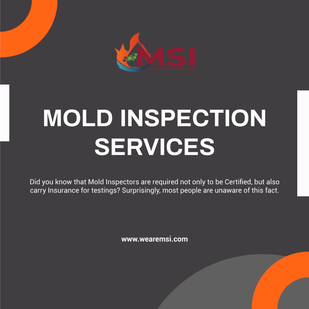When to Call in the Professionals: Signs Your Home Needs Mold Remediation | by Mold Solutions & Inspections | Apr, 2023 | Medium