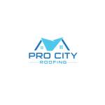 Pro City Roofing