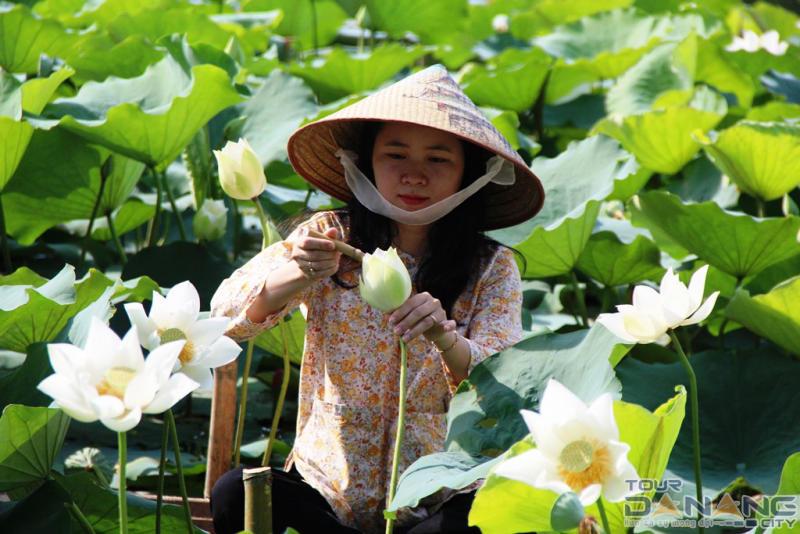 Khám Phá Hồ Tịnh Tâm - Khu Thượng Uyển Vương Triều Nguyễn
