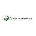 Best Indoor Plants Melbourne Luwasa Plant Hire