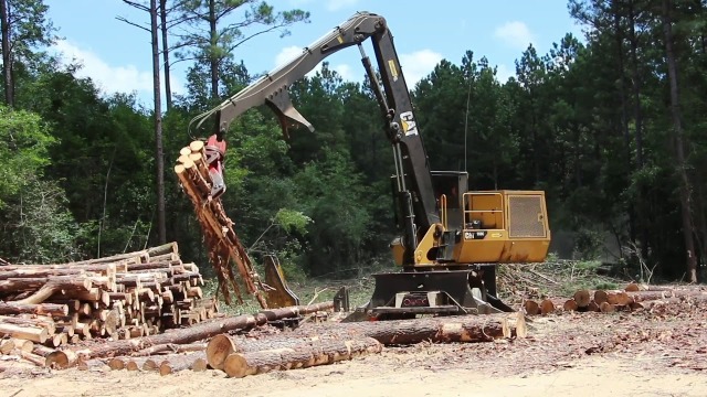 BW Timber Harvesting on Tumblr