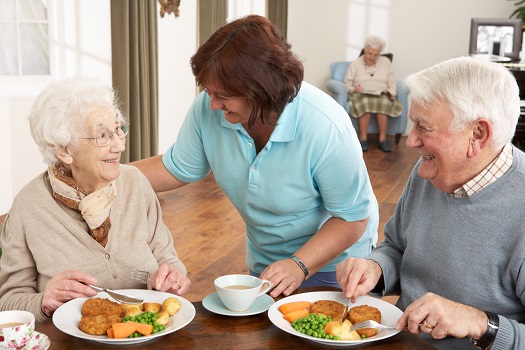 The Importance of Proper Nutrition in Senior Health