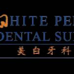 White Perfect Dental SEO
